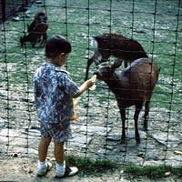 Undated_Zoo0019.JPG