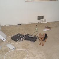 CIMG0236.jpg