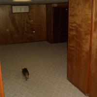 CIMG0254.jpg