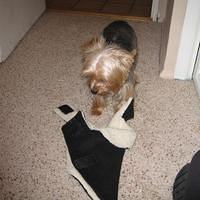 IMG_0111.jpg