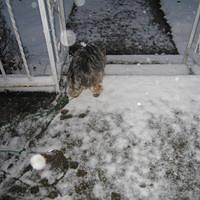 IMG_0119.jpg