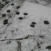 IMG_0128.jpg