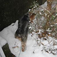 IMG_0130.jpg