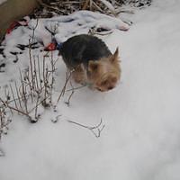 IMG_0131.jpg