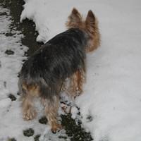 IMG_0134.jpg