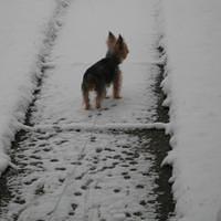 IMG_0135.jpg