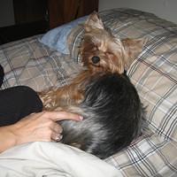 IMG_0139.jpg