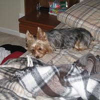 IMG_0140.jpg