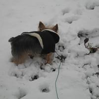 IMG_0143.jpg