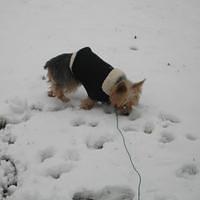 IMG_0144.jpg