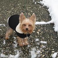 IMG_0153.jpg