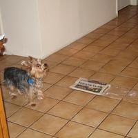 IMG_0186.jpg