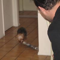 IMG_0187.jpg