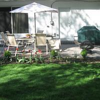 New Backyard Patio