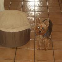 CIMG0611.JPG