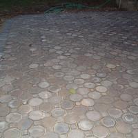 CIMG0689.JPG