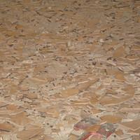 IMG_0613.jpg