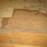 IMG_0625.jpg