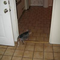 IMG_0604.jpg