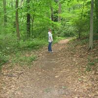IMG_0780.jpg