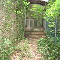 IMG_0787.jpg