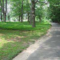 IMG_0788.jpg