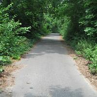 IMG_0789.jpg