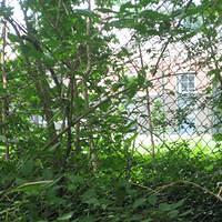 IMG_0791.jpg