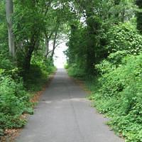 IMG_0792.jpg