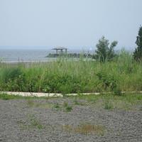 IMG_0794.jpg