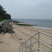 IMG_0795.jpg