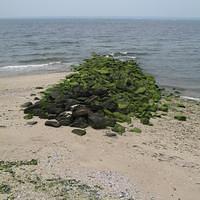 IMG_0798.jpg