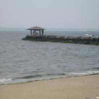 IMG_0801.jpg