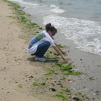 IMG_0805.jpg