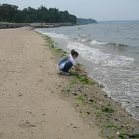 IMG_0807.jpg