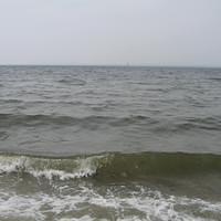 IMG_0813.jpg