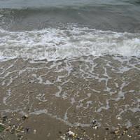 IMG_0814.jpg