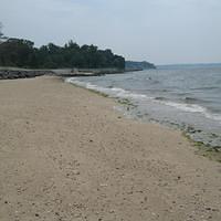 IMG_0818.jpg