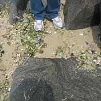 IMG_0823.jpg