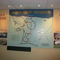 IMG_1059.JPG