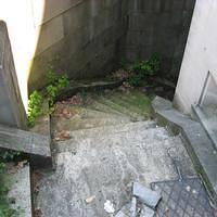 IMG_1081.JPG