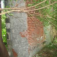 IMG_1098.JPG