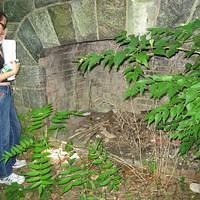 IMG_1099.JPG