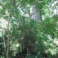 IMG_1101.JPG