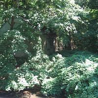 IMG_1104.JPG
