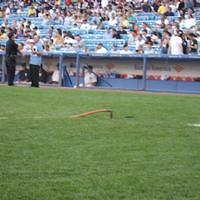 IMG_1198.JPG