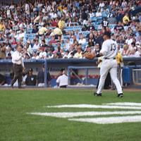 IMG_1244.JPG