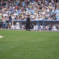 IMG_1250.JPG