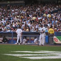 IMG_1353.JPG