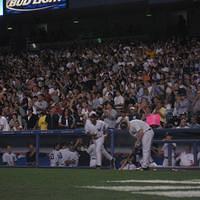 IMG_1433.JPG